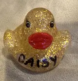 DAISY