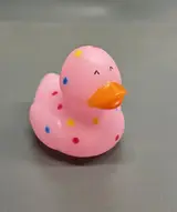 Birthday Duck