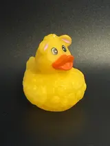 Little Big Bird