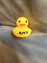 AMY