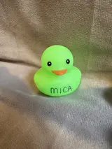 MICA
