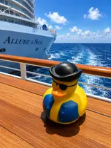 Pirate Duck