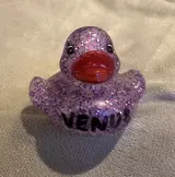 VENUS