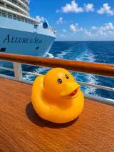 Orange Duck