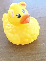 Big Bird Duck