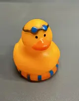 Floaty Duck