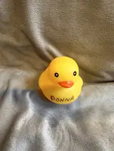 DONNA